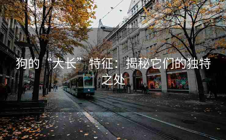 狗的“大长”特征：揭秘它们的独特之处