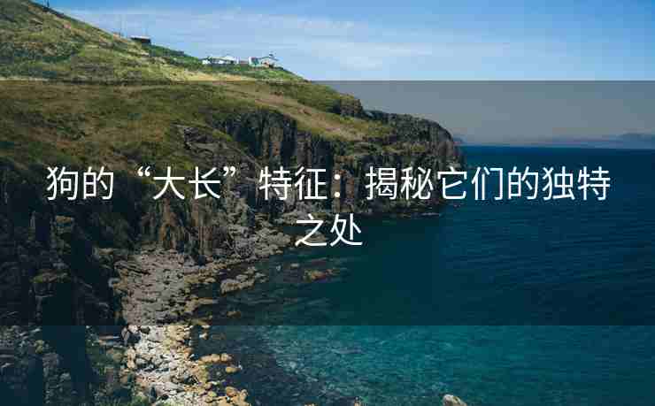 狗的“大长”特征：揭秘它们的独特之处