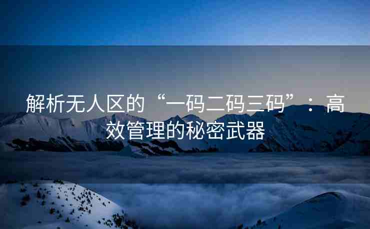 解析无人区的“一码二码三码”：高效管理的秘密武器