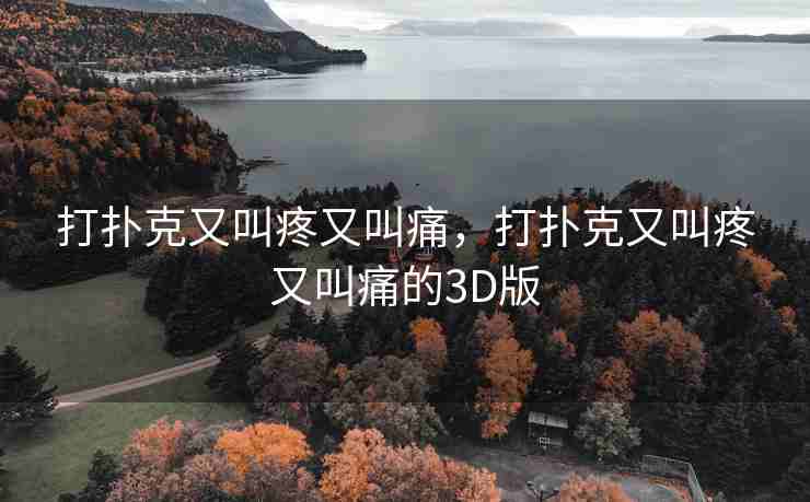 打扑克又叫疼又叫痛，打扑克又叫疼又叫痛的3D版