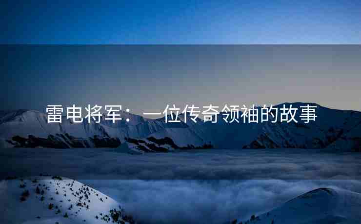 雷电将军：一位传奇领袖的故事