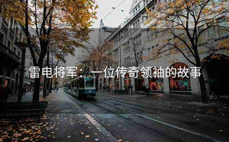 雷电将军：一位传奇领袖的故事