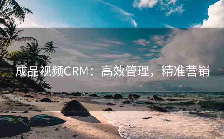成品视频CRM：高效管理，精准营销