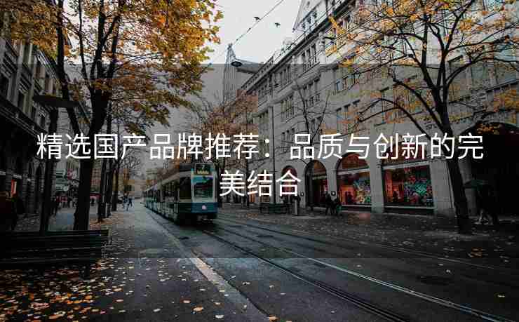 精选国产品牌推荐：品质与创新的完美结合