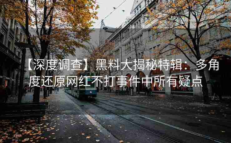 【深度调查】黑料大揭秘特辑：多角度还原网红不打事件中所有疑点