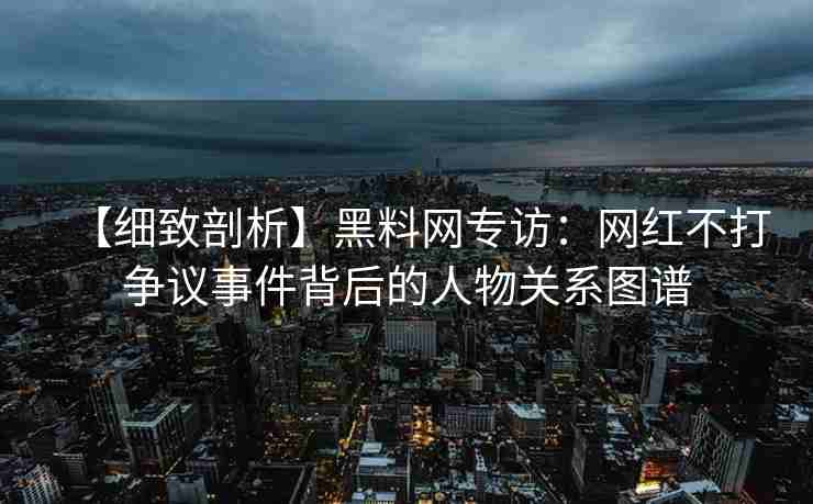 【细致剖析】黑料网专访：网红不打争议事件背后的人物关系图谱