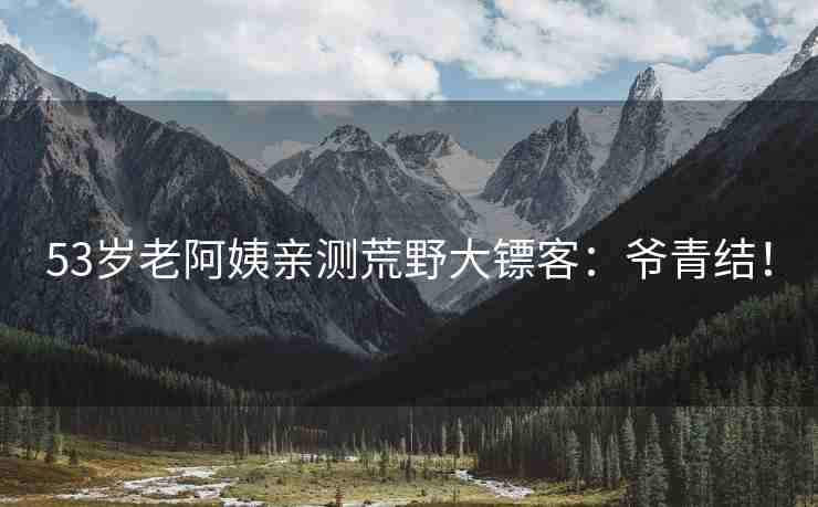 53岁老阿姨亲测荒野大镖客：爷青结！