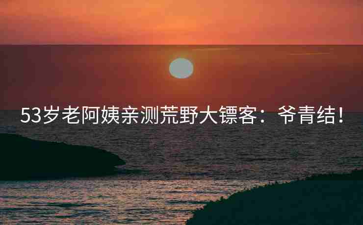 53岁老阿姨亲测荒野大镖客：爷青结！