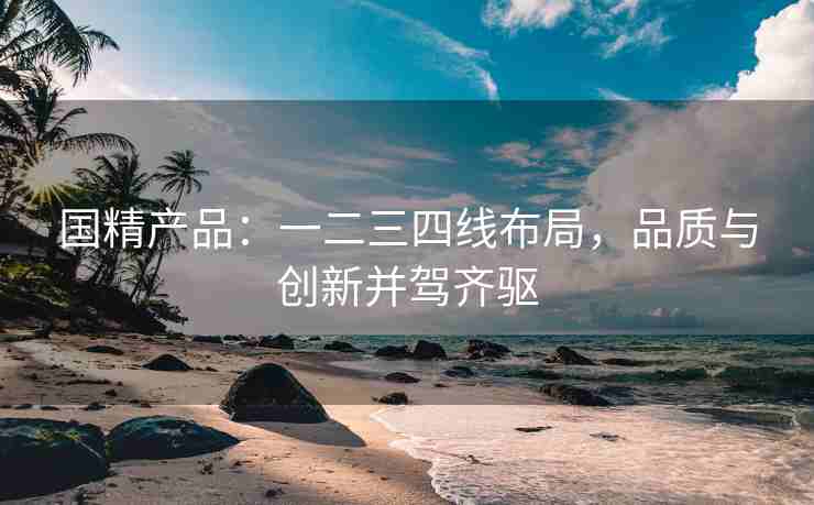 国精产品：一二三四线布局，品质与创新并驾齐驱