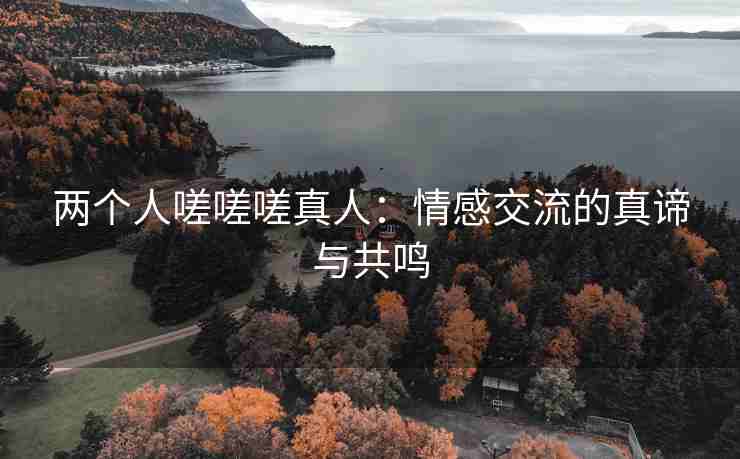 两个人嗟嗟嗟真人：情感交流的真谛与共鸣