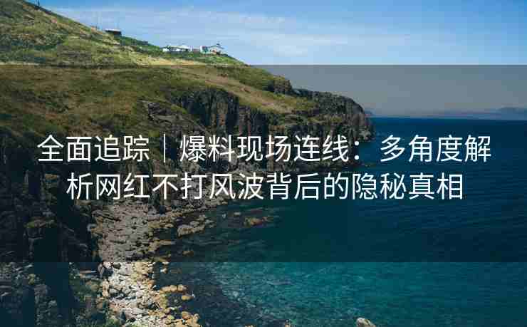 全面追踪｜爆料现场连线：多角度解析网红不打风波背后的隐秘真相