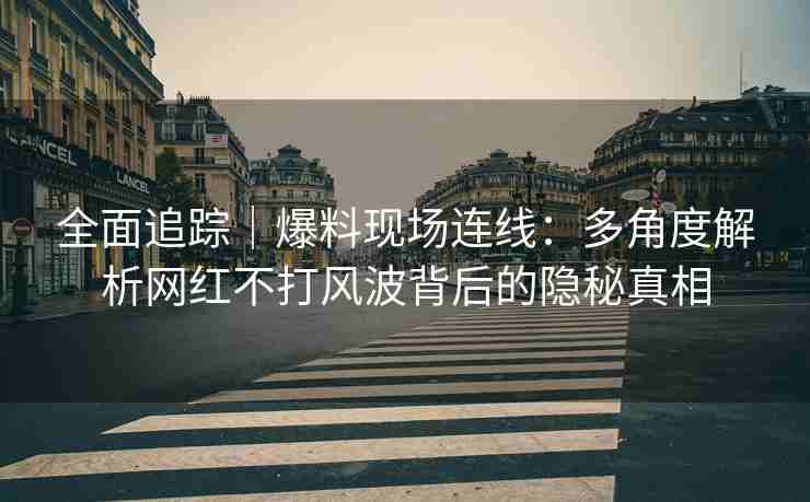 全面追踪｜爆料现场连线：多角度解析网红不打风波背后的隐秘真相