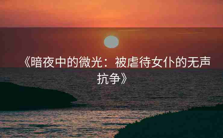 《暗夜中的微光：被虐待女仆的无声抗争》