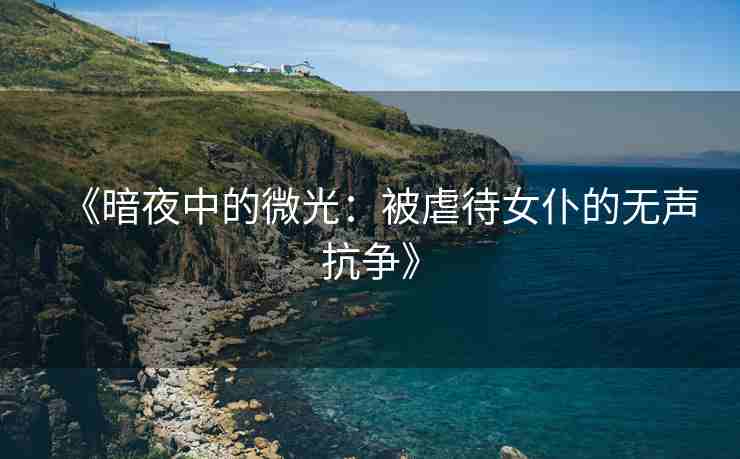 《暗夜中的微光：被虐待女仆的无声抗争》