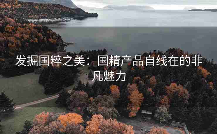 发掘国粹之美：国精产品自线在的非凡魅力