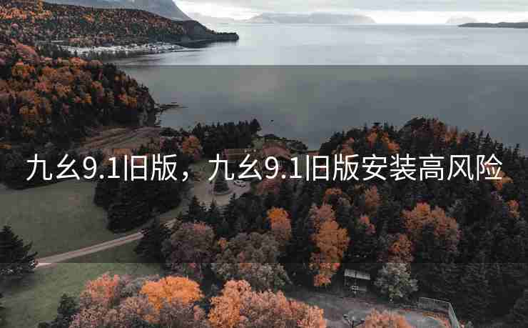 九幺9.1旧版，九幺9.1旧版安装高风险